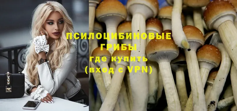 Псилоцибиновые грибы Magic Shrooms  Биробиджан 